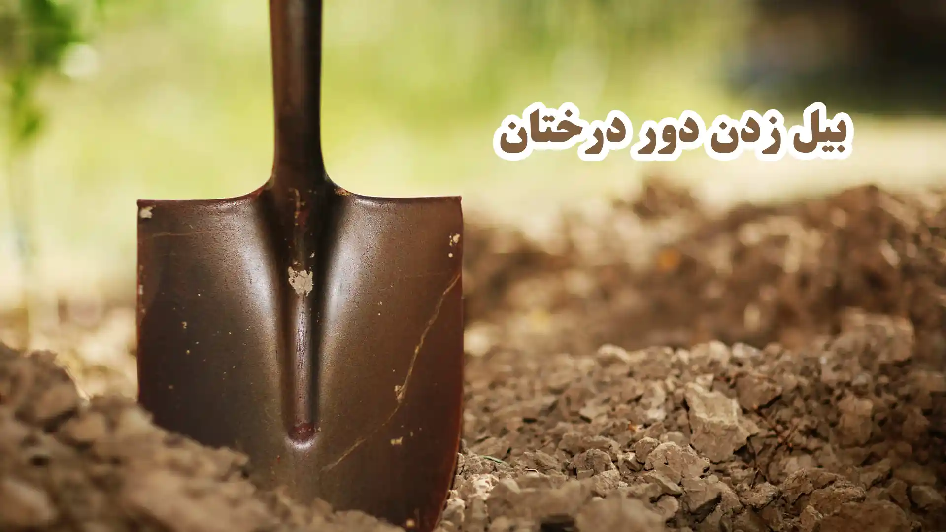 فواید و معایب بیل زدن دور درخت در باغات