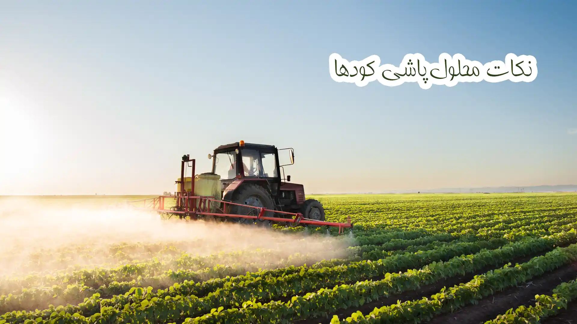 نکات مهم محلول پاشی کودها