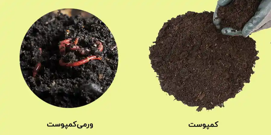 کمپوست و ورمی کمپوست