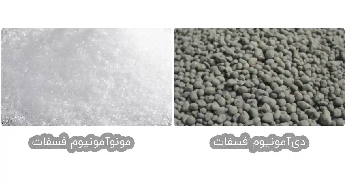 فرق دی آمونیوم فسفات و مونو آمونیوم فسفات
