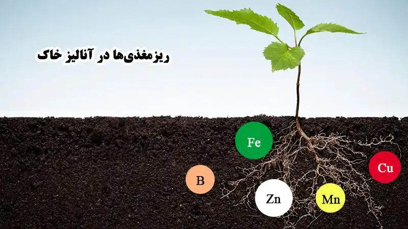 تفسیر عناصر ریزمغذی در نتایج آزمون خاک