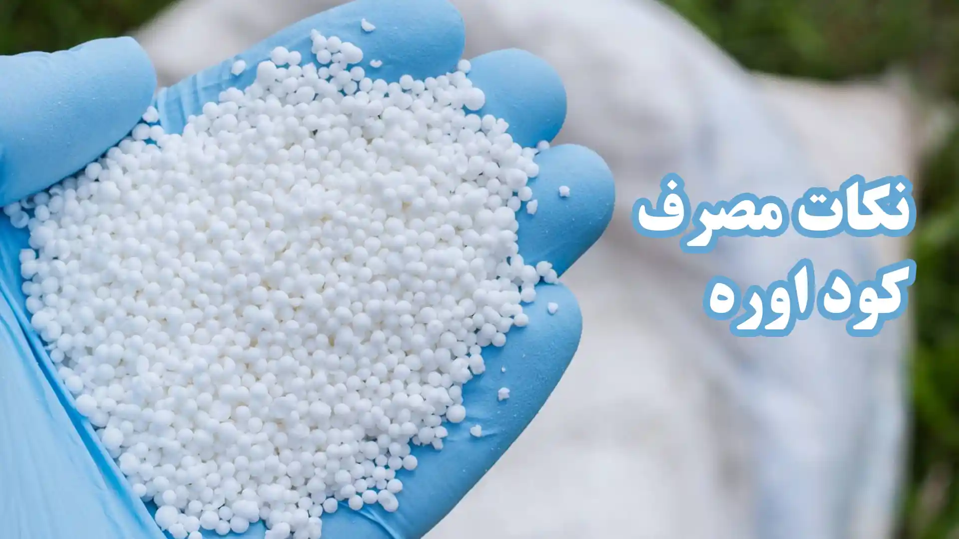 نکات مهم مصرف کود اوره