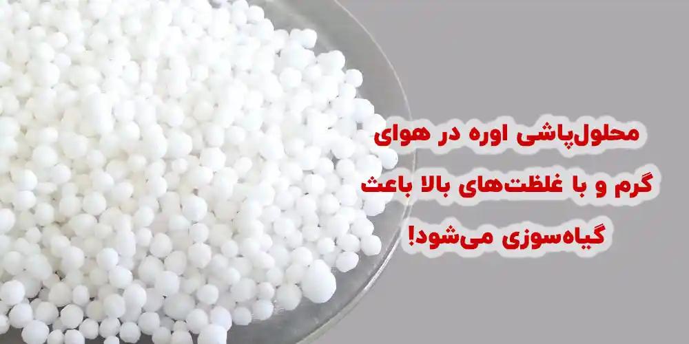 محلول پاشی اوره