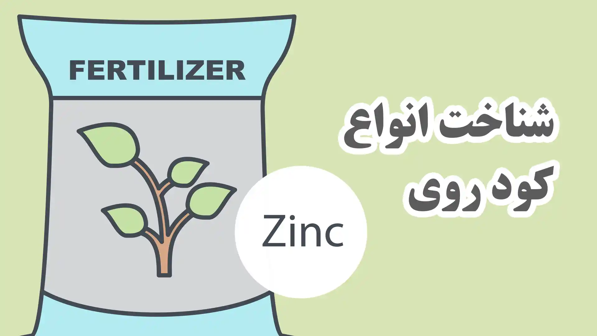 انواع کود روی