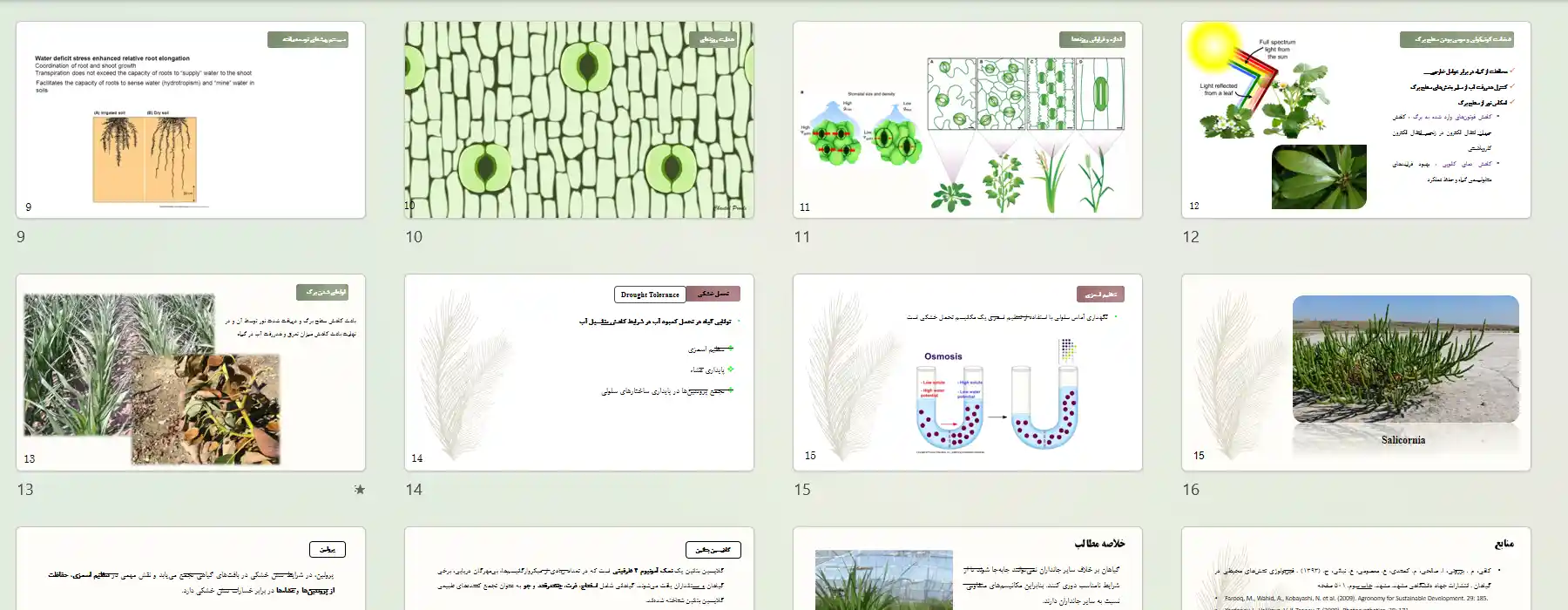 فایل پاورپوینت تنش خشکی در گیاهان