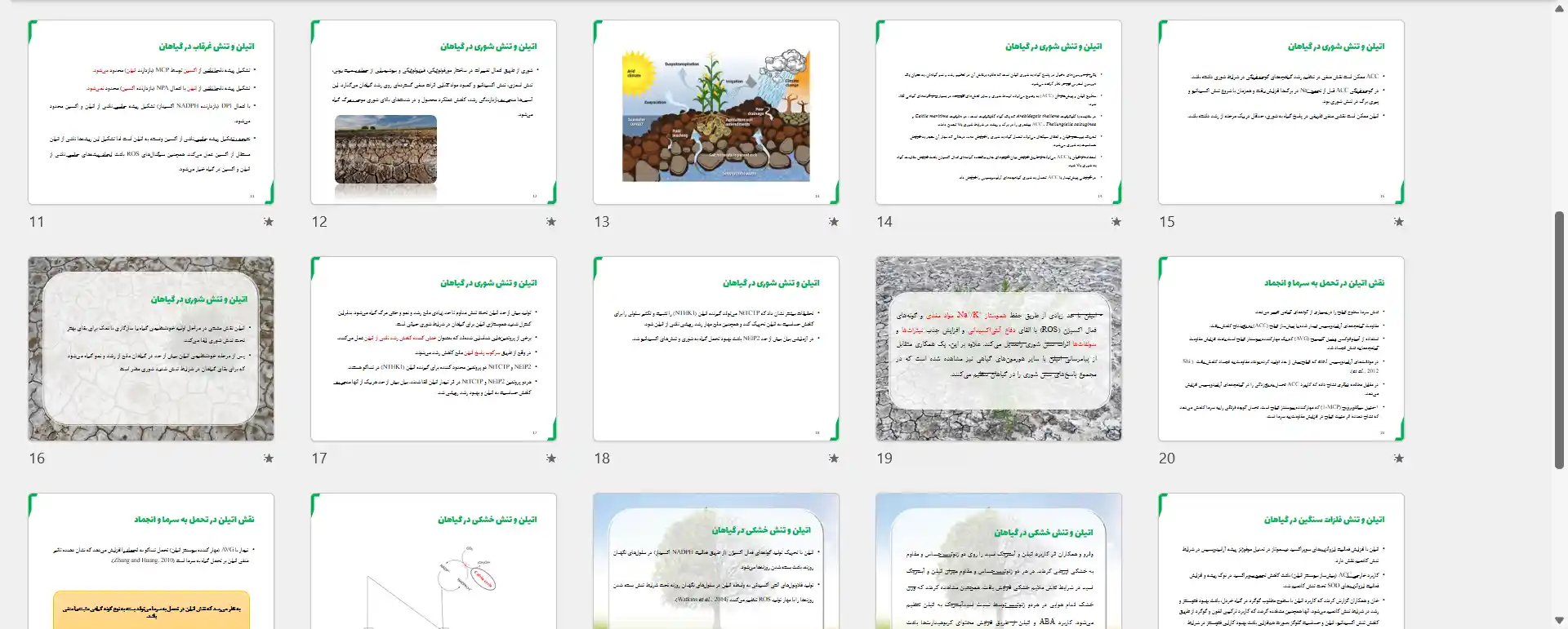 پاورپوینت نقش هورمون اتیلن در تنش های محیطی گیاهان
