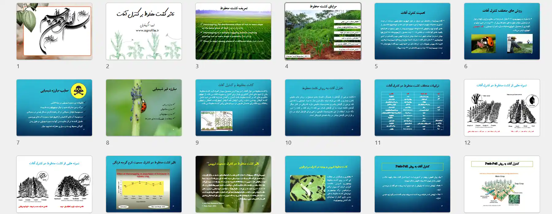 دانلود پاورپوینت تاثیر کشت مخلوط در کنترل آفات