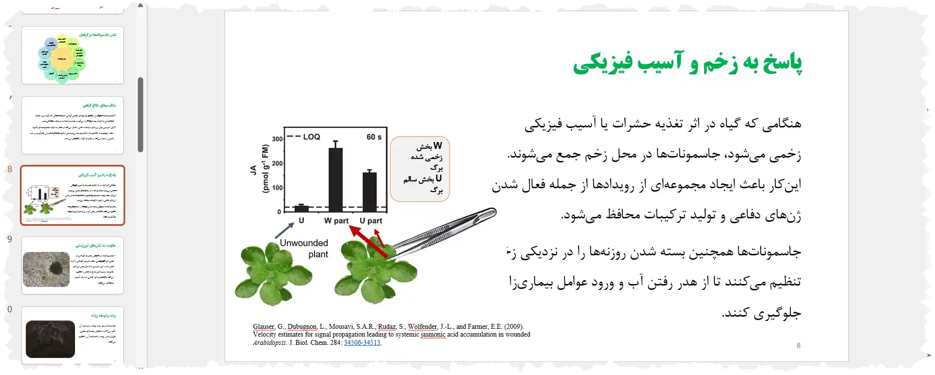 دانلود فایل پاورپوینت نقش جاسمونات ها در گیاهان