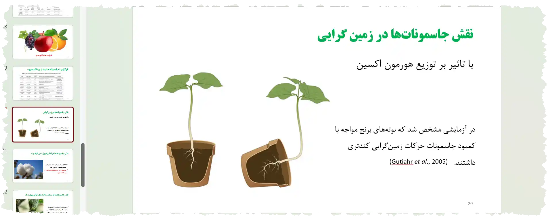 دانلود پاورپوینت جاسمونات ها در گیاهان