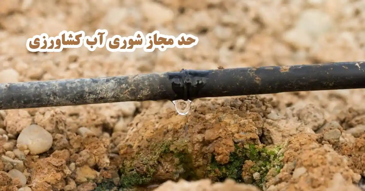 حد مجاز شوری آب برای کشاورزی چقدر است؟