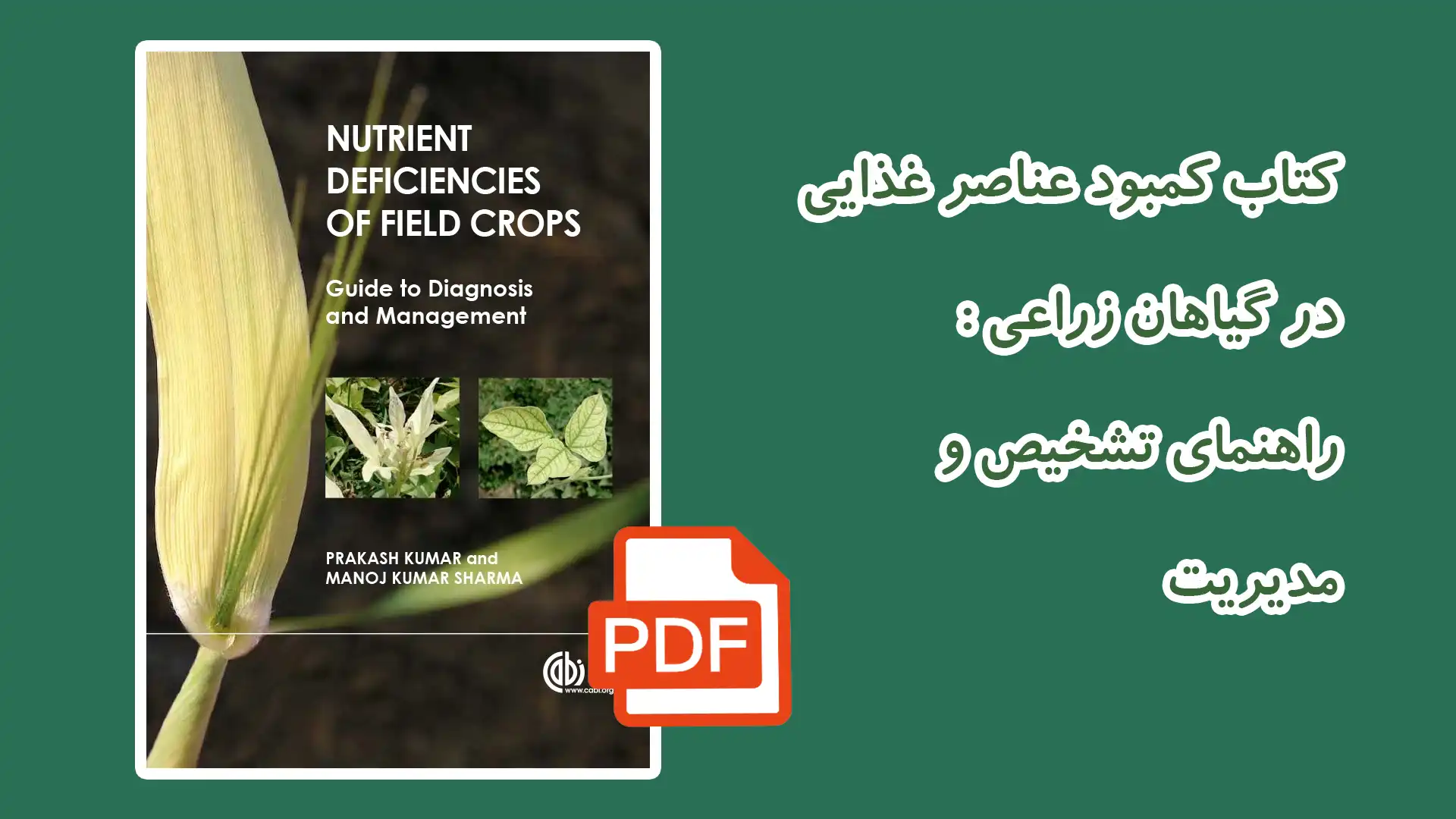کتاب کمبود عناصر غذایی در گیاهان زراعی