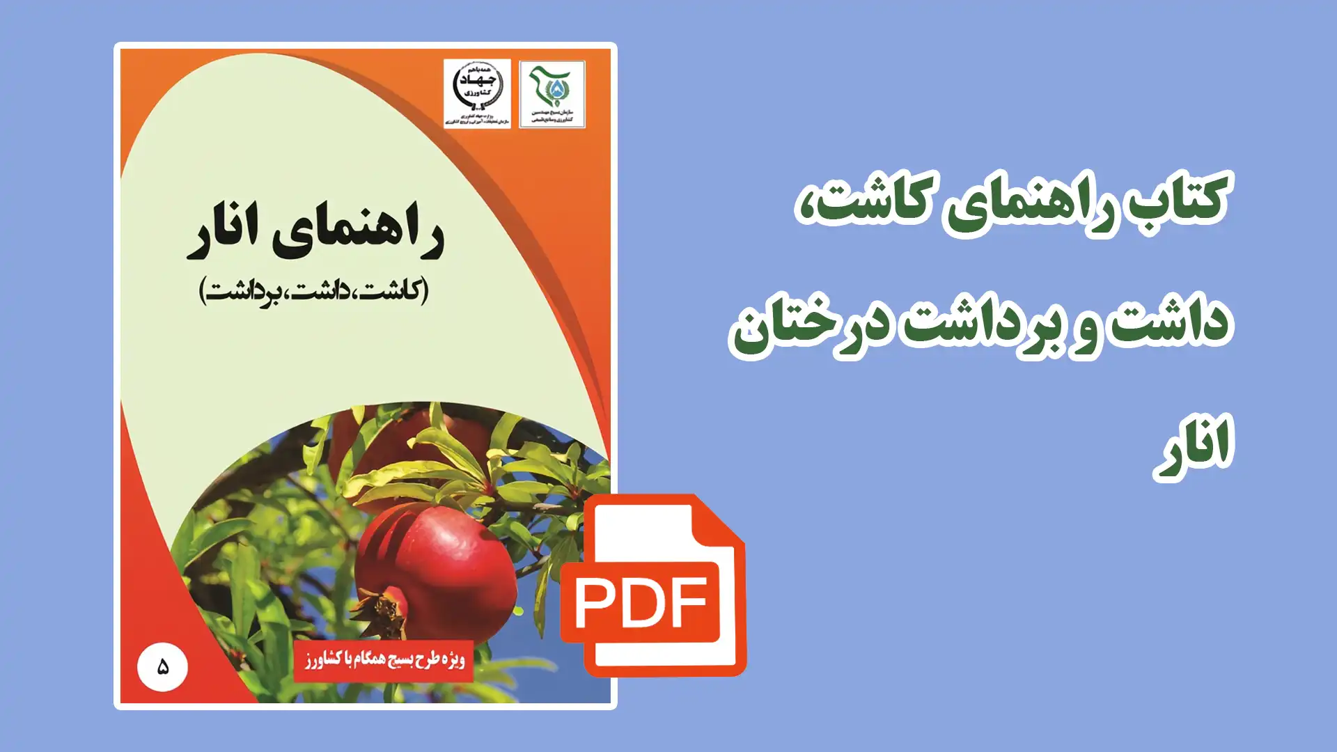 کاشت، داشت و برداشت انار